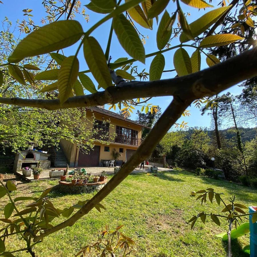 Le Cicale E La Formica Bed & Breakfast Casarza Ligure